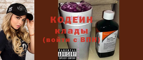 ПСИЛОЦИБИНОВЫЕ ГРИБЫ Инта