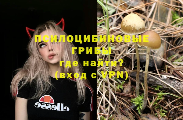 твердый Армянск