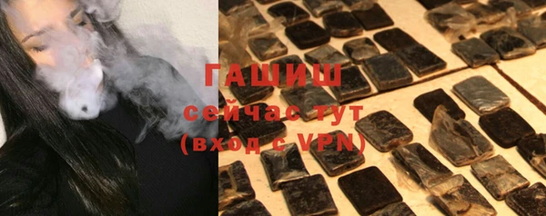 индика Инсар